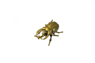 golden bug scarab on white background