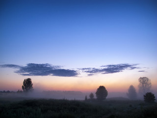 Colorful morning, a beautiful sunrise over a foggy park