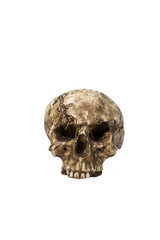 Human skull isolated on white background