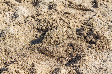 Sand on the beach as a background close-up
