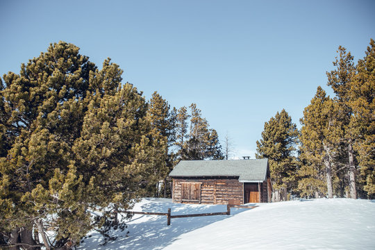Little old building between snowdrifts and winter forest in sunny day in Cerdanya, France