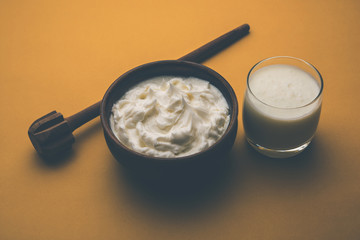 Fototapeta na wymiar Homemade white Butter or Makhan/Makkhan in Hindi, served in a bowl. selective focus