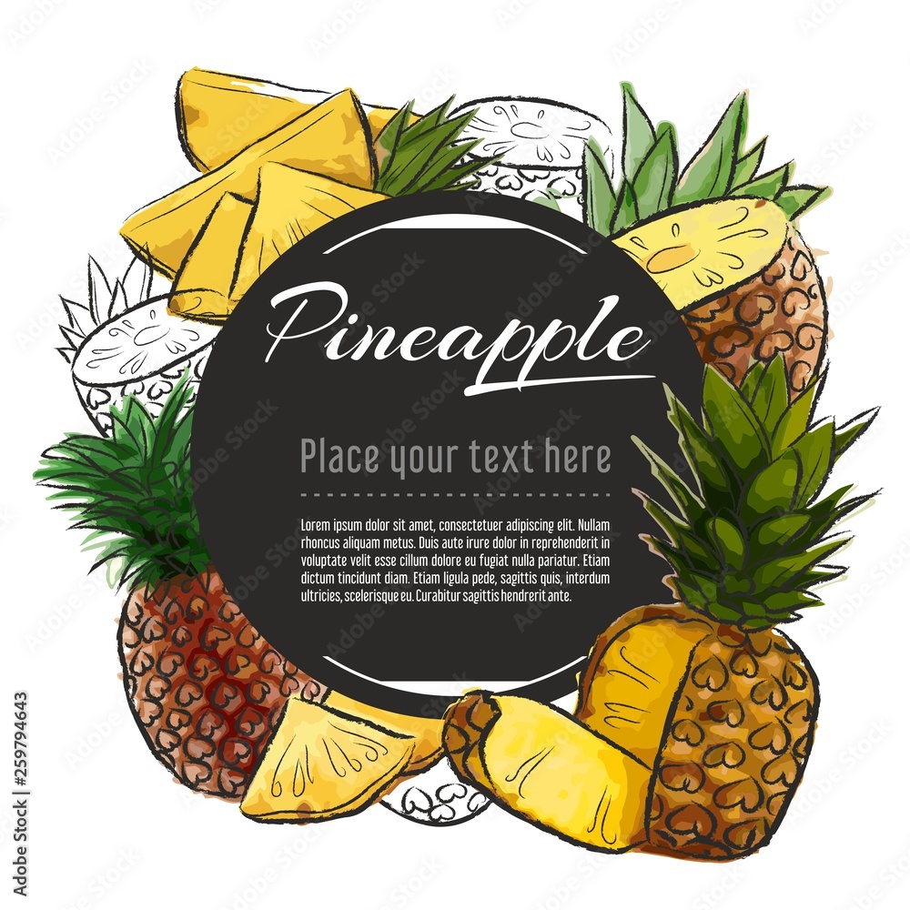 Wall mural Vector sketch pineapple banner on white background. With place for text. Hand drawn sketch fruit graphic design	 - Wall murals