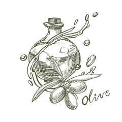 A branch of ripe olives is juicy poured with oil. Farmers market menu design. Organic food poster. Vintage hand drawn sketch illustration. Linear graphic.