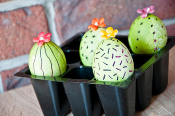 Spring seedlings. Greenhouse. Cactus blooming. Happy easter holiday. natural dye. Easter egg. Green life. Flower. Painted eggs. DIY and handmade. Egg hunt. Traditional food cooking. Green life
