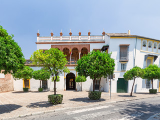 Obraz premium Seville, Spain - Architecture barrio Santa Cruz district