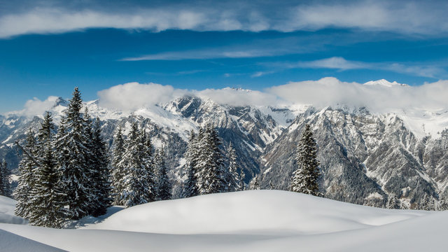 Wonderful view of coniferous forest with amazing mountains on the background in Austria