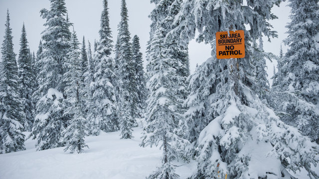 Wonderful view of coniferous forest between snowdrift and warning sign with ski area boundary words in winter in Canada