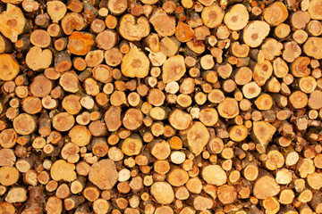 Wooden background. Firewood stack for the background. A lot of cutted logs. Stack of sawn logs. Natural wooden decor background. Pile of chopped fire wood prepared for winter.