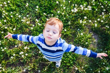 child field grass boy childhood. cute.