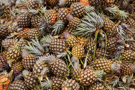 Background of ripe-harvested pineapples 