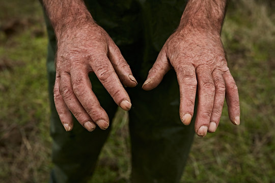 Crop hands of aged male worker 