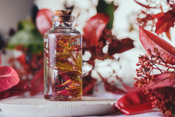 Bottle with fresh plant in liquid between foliage