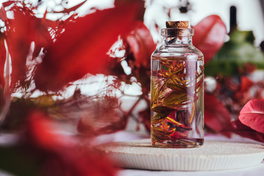 Essential oil, with natural herbs in red tones