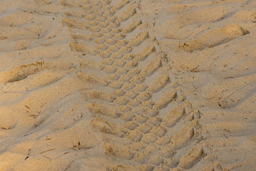 traces of automobile tires on the sand