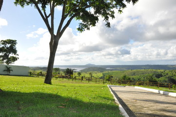 road, landscape, tree, nature