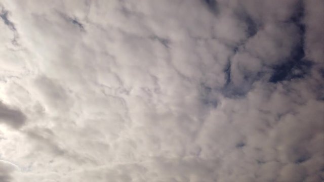 Timelapse of dense and compact white cirrocumuli clouds in a blue summer sky with plays of light and shadows