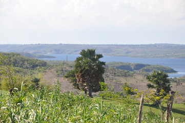 Obraz premium nature