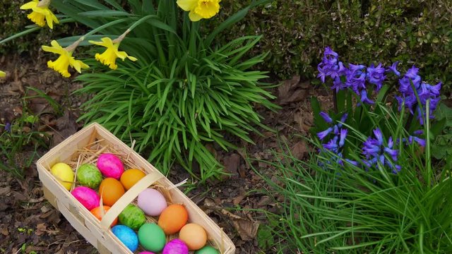 Easter screen saver with a basket of painted eggs against the background of blooming spring flowers