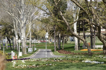 road  in the park