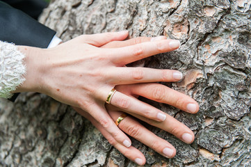 hands of the bride and groom on tree trunk