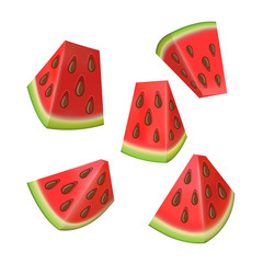 Watermelon vector set of red color, watermelon with black seeds. Juicy summer tropical fruits. Vector illustration with slices of watermelons
