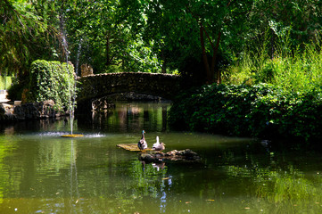 The Park Parque de Maria Luisa near the Plaza of Spain in Seville