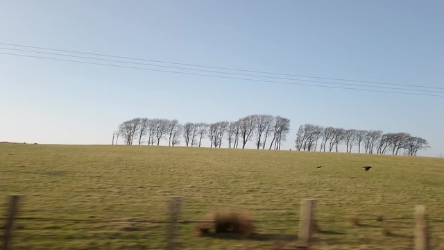Slow motion film of two crows flying over a field shot from a moving vehicle.