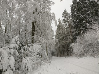 Winter in Bayern