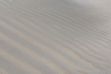 background of sand, wind formed relief, baltic sea shore