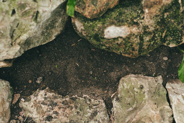black earth and stones, space for text, copyspace