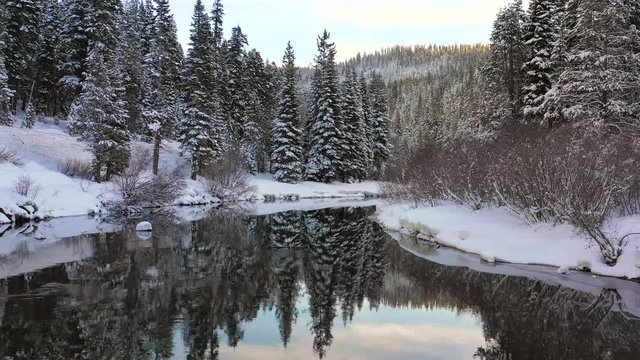 Beautiful Snow Covered Trees Reflecting on River in Winter 