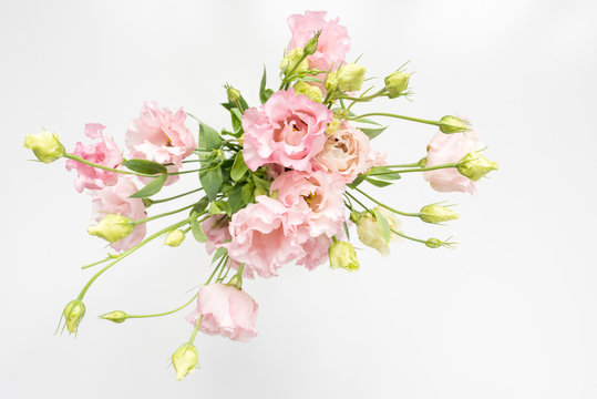 High angle view of pink lisianthus flowers and cream buds in vase on white background (selective focus)