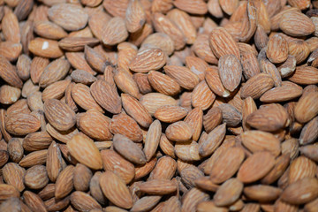Variety of dried fruits and nuts