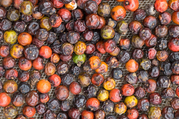 Colorful pepper closeup on drying
