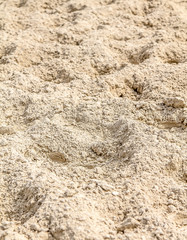 White sand on the racetrack with horse tracks as background