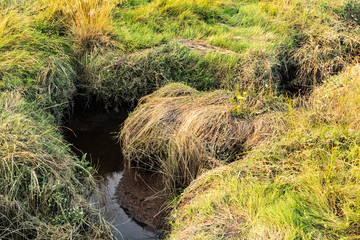 grassland gully reflection water 