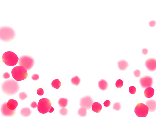Pink rose petals falling vector valentine background.