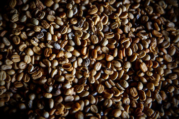 Luwak coffee beans. Top view. The legendary coffee from Bali