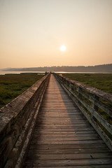 Fototapeta na wymiar sunset at bird sanctuary wooden path