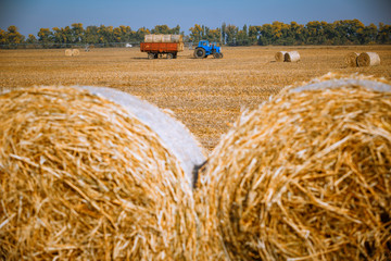 Hay bail harvesting in wonderful autumn farmers field landscape with hay stacks