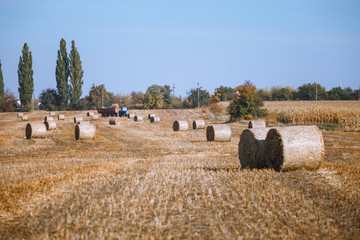 Hay bail harvesting in wonderful autumn farmers field landscape with hay stacks © Iren Moroz