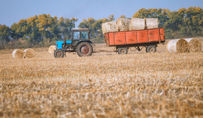 Fototapeta premium Hay bail harvesting in wonderful autumn farmers field landscape with hay stacks