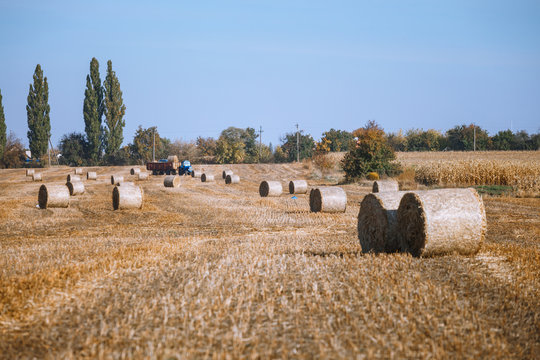 Hay bail harvesting in wonderful autumn farmers field landscape with hay stacks