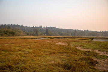 Fototapeta na wymiar autumnal wetlands and grasslands along the sound 
