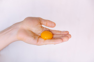 yolk in the hand of a woman on a white background. close up