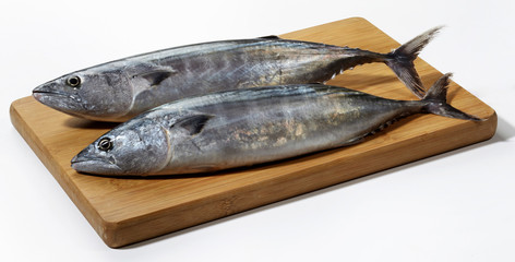 Fresh mackerel fish on wooden cutting board