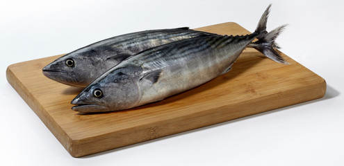 Fresh mackerel fish on wooden cutting board