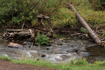 Mountain Stream