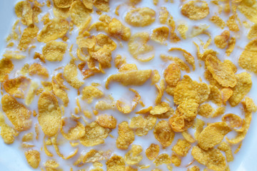 Corn flakes in milk